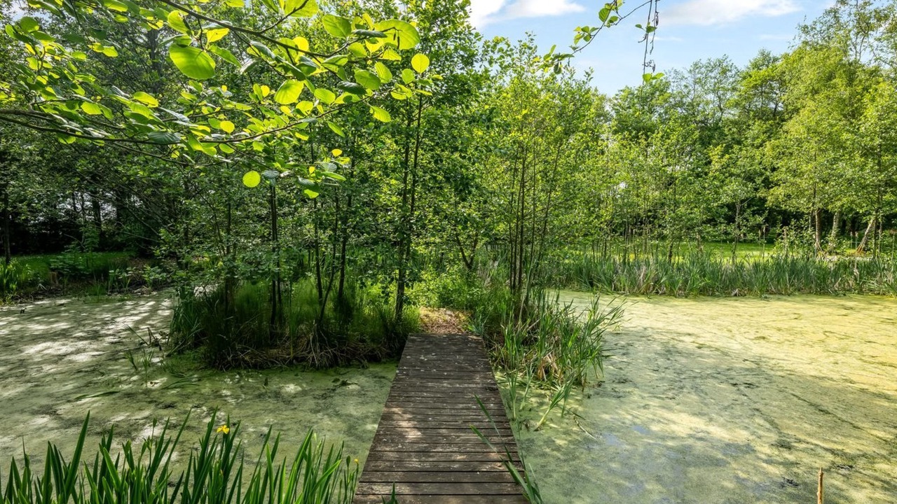 Photo of Outdoor in Tarm