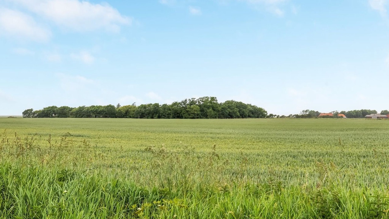 Photo of Others in Skaerbaek