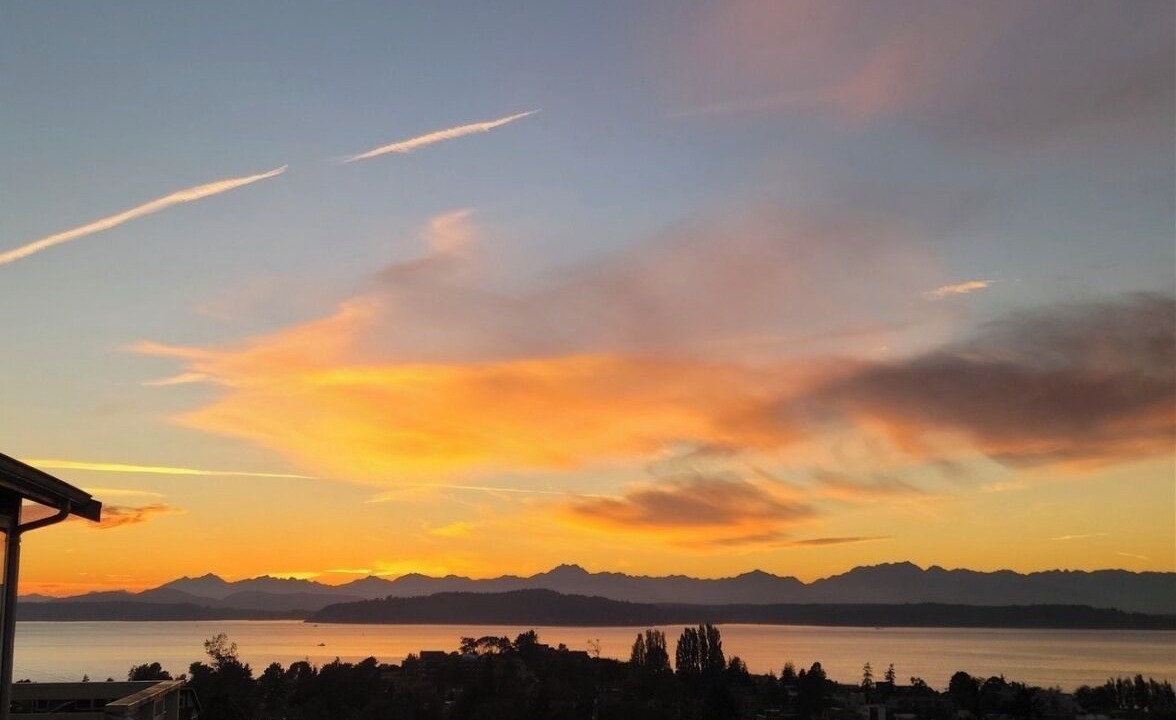 Photo of Others in Alki