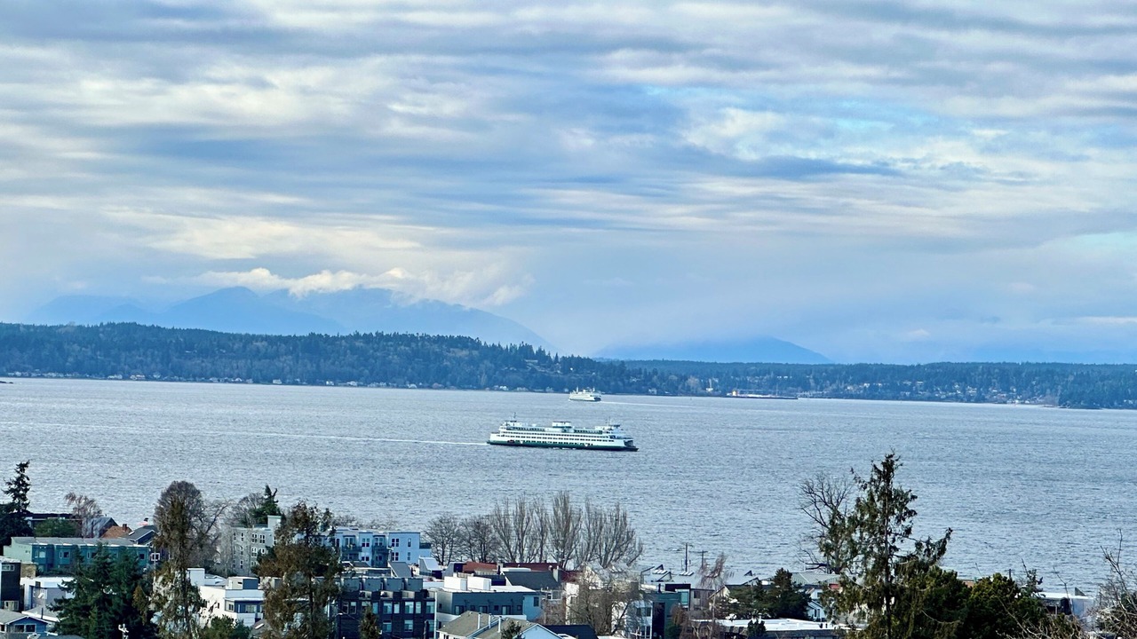 Photo of Others in Alki