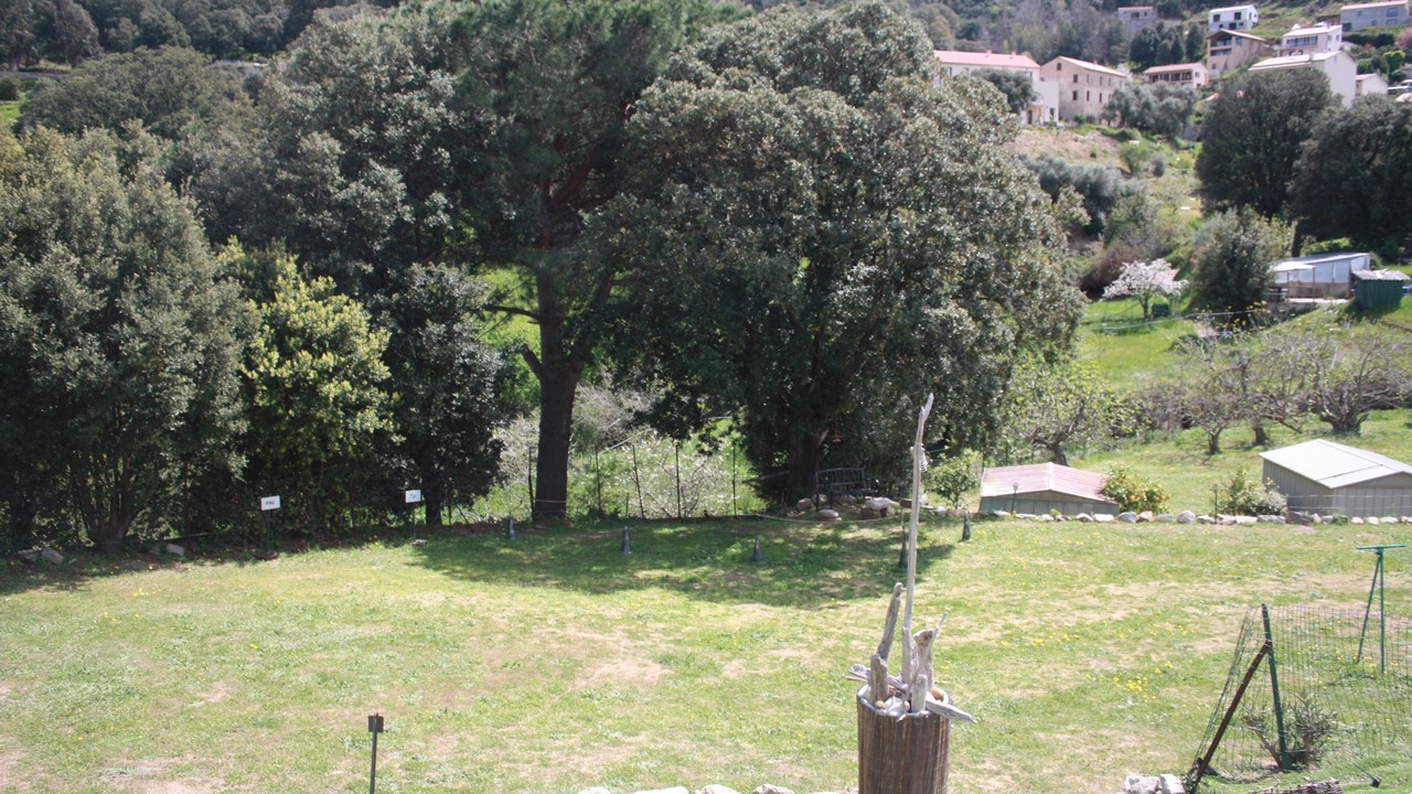 Photo of Outdoor in Piana