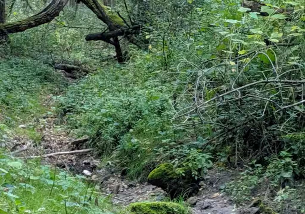 Photo of Others in Frontenac