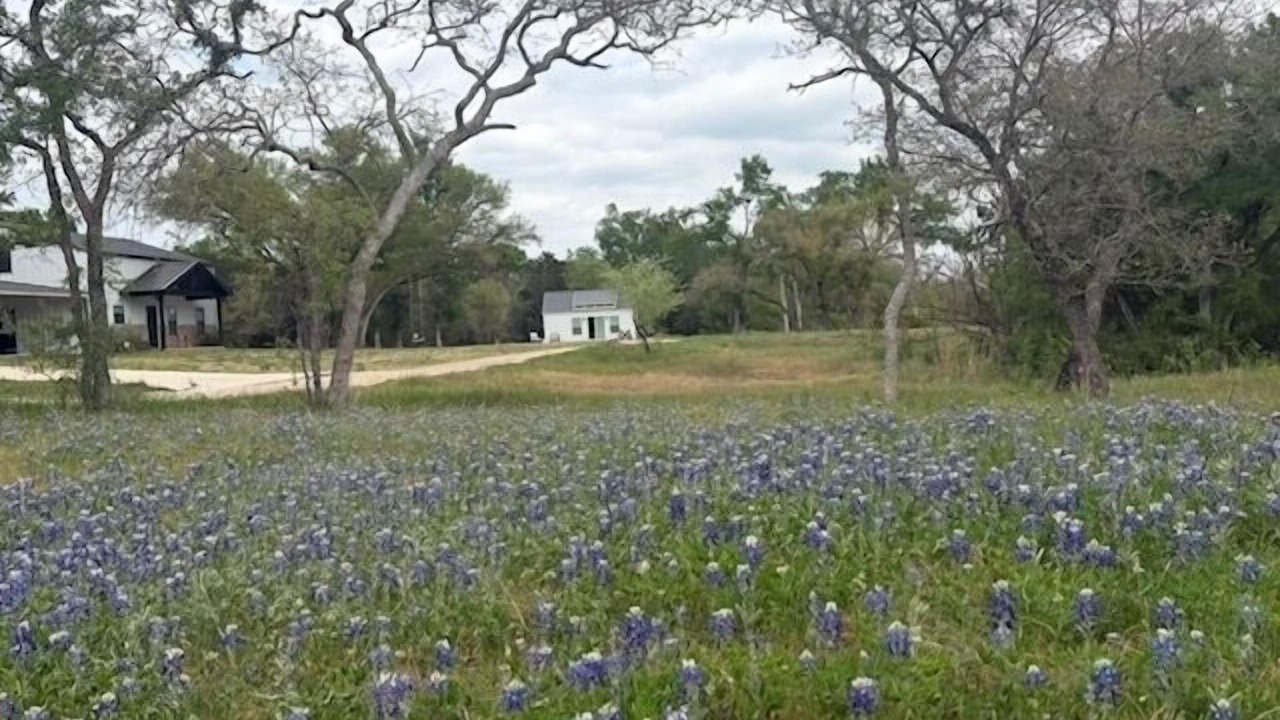 Photo of Outdoor in Belton