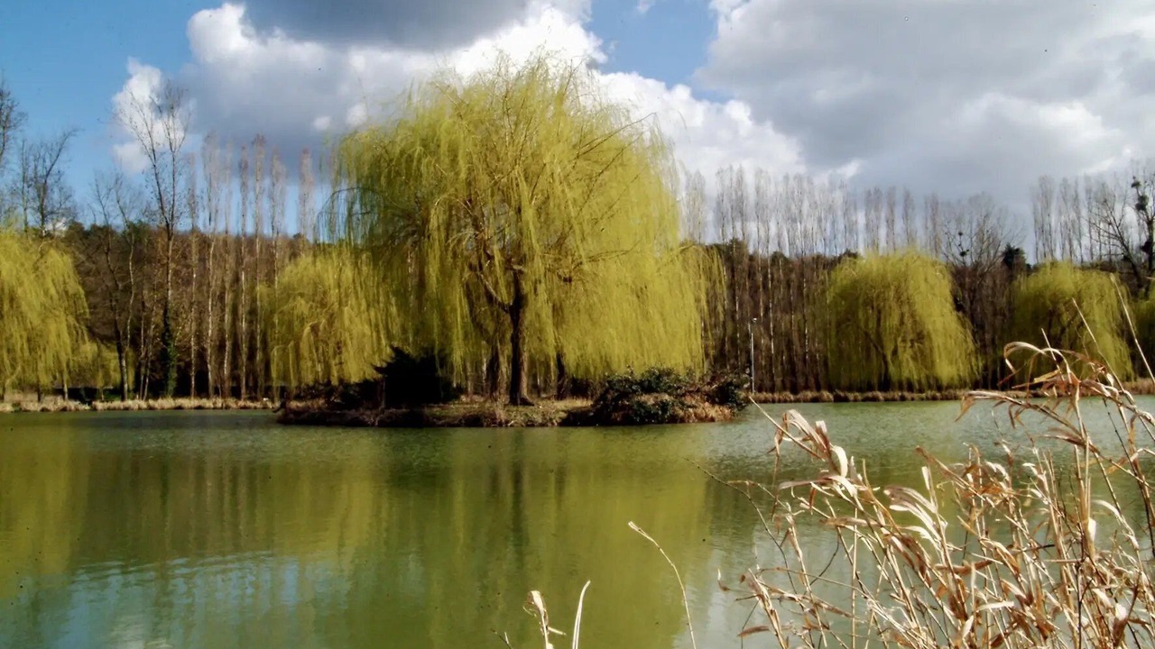 Photo of Others in Bagneaux-sur-Loing