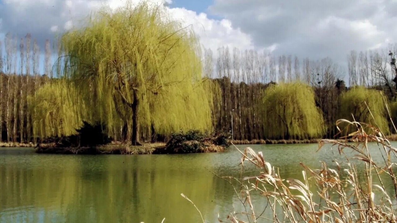 Photo of Others in Bagneaux-sur-Loing