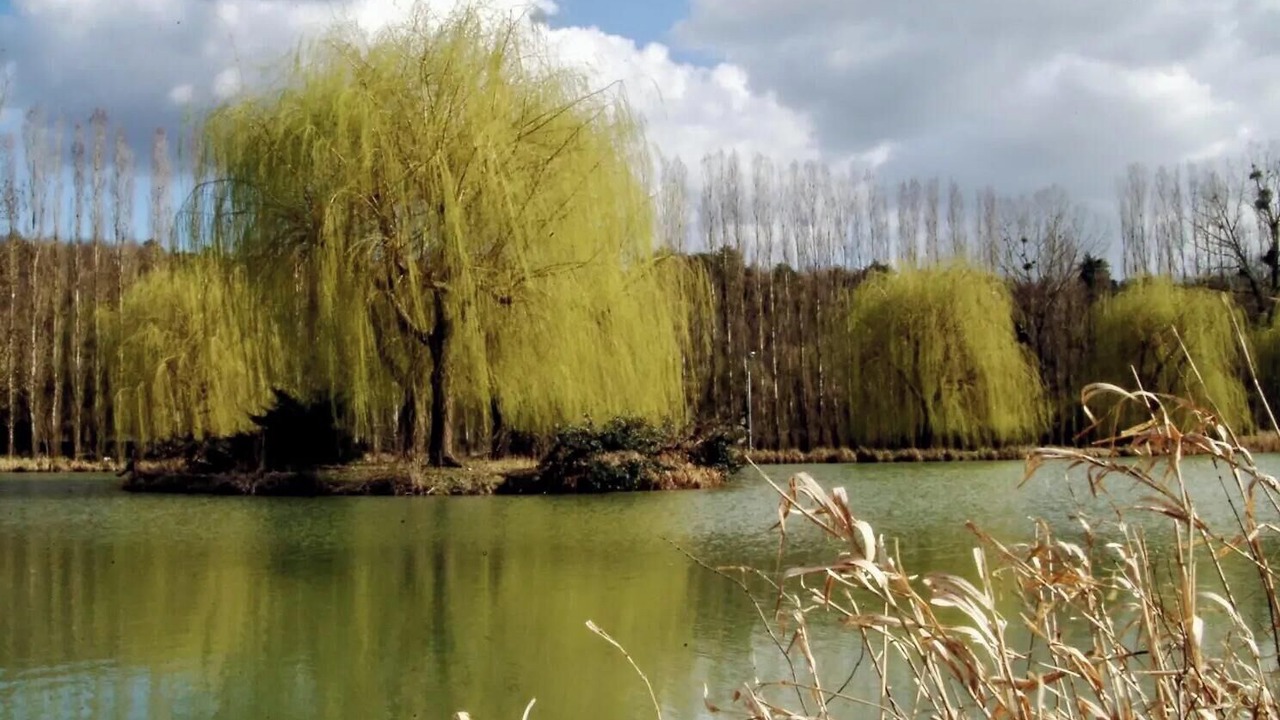 Photo of Others in Bagneaux-sur-Loing