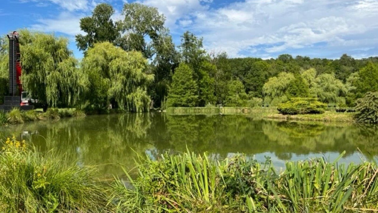 Photo of Others in Bagneaux-sur-Loing