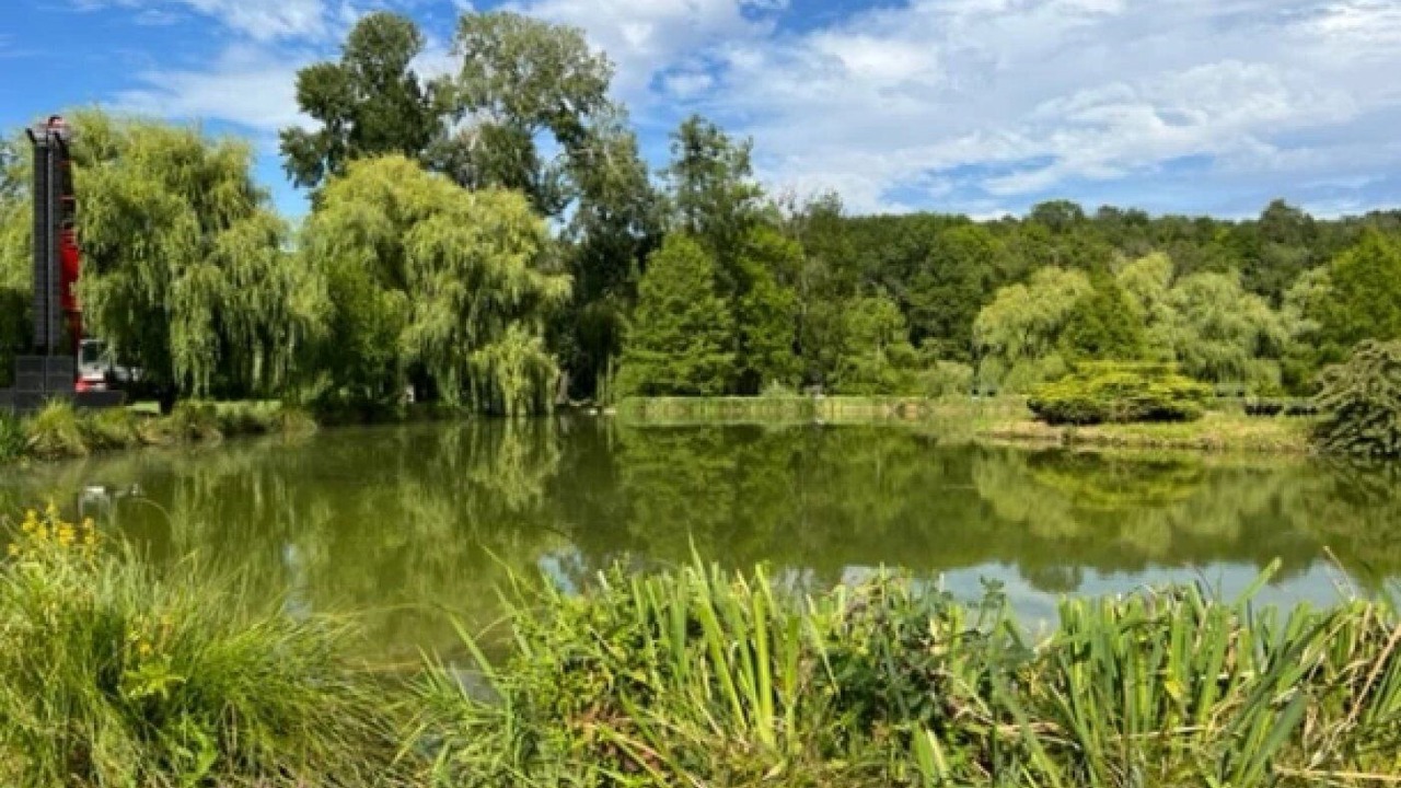 Photo of Others in Bagneaux-sur-Loing
