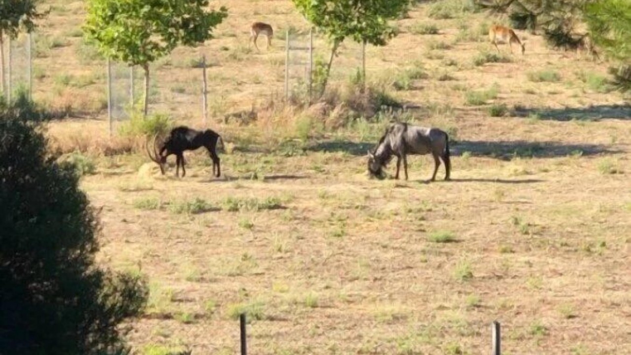 Photo of Others in Sigean
