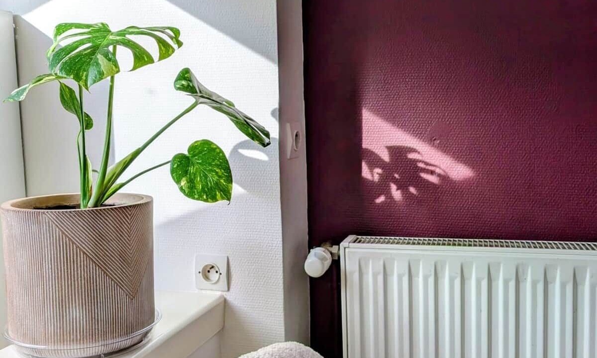 Photo of Bathroom in Amiens