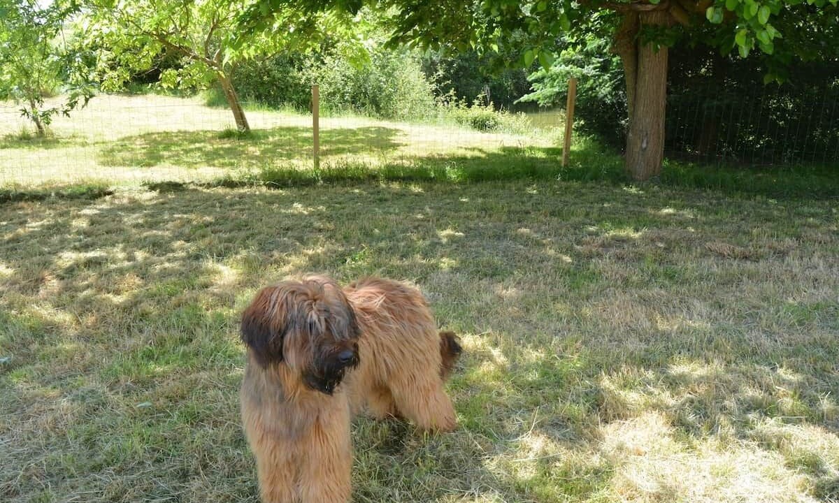 Photo of Outdoor in Le May-sur-Evre