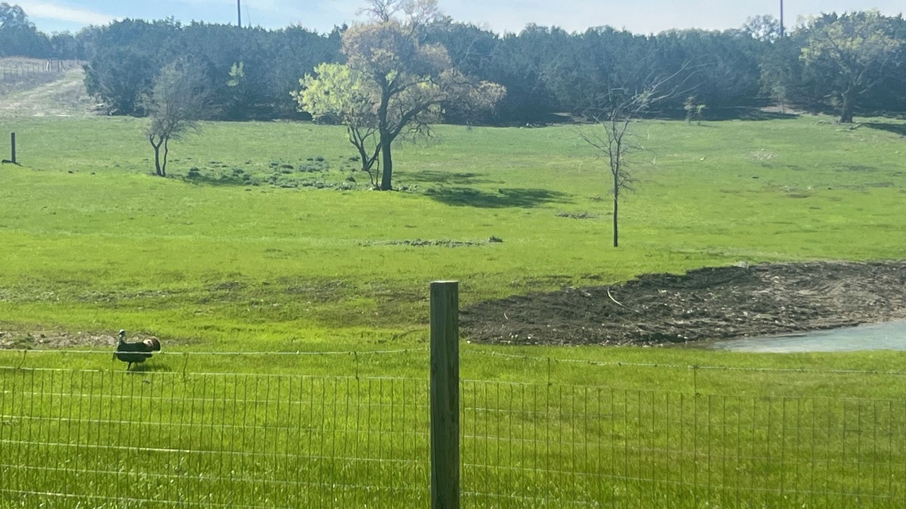 Photo of Others in Burnet