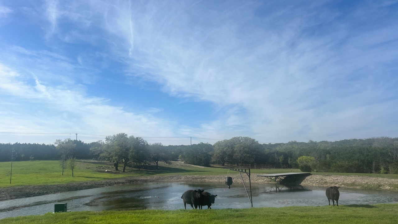 Photo of Others in Burnet