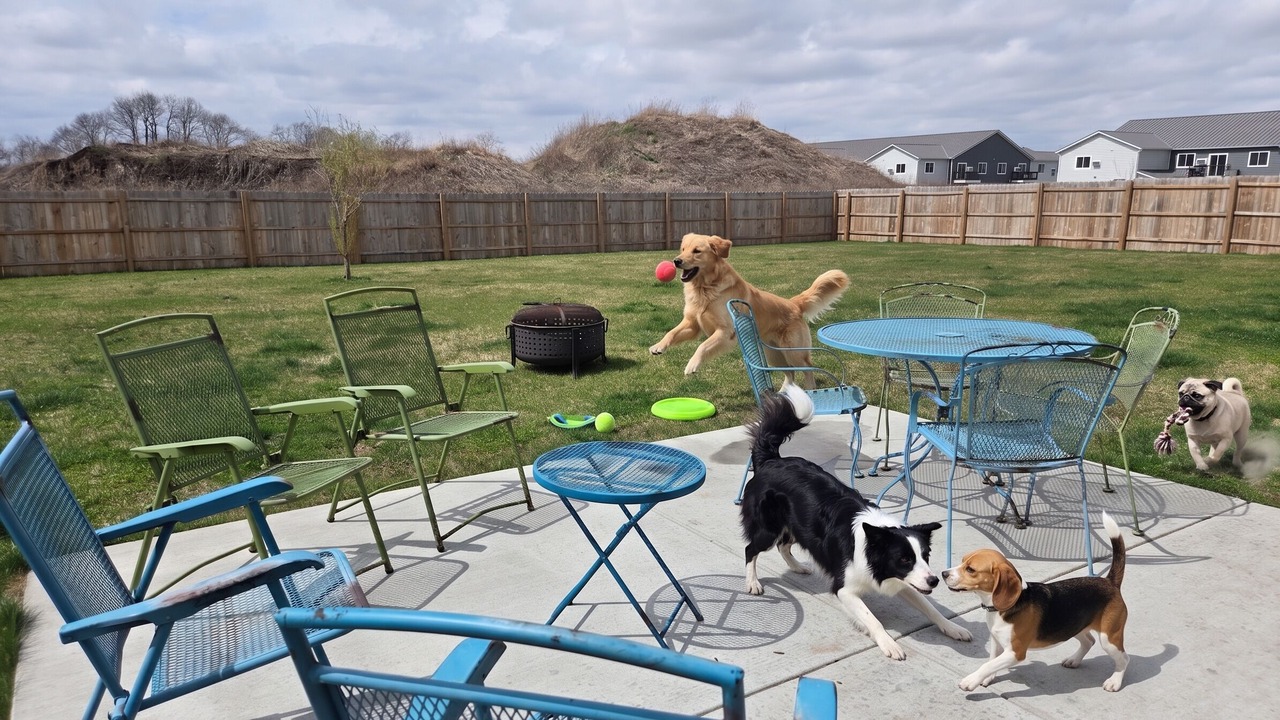 Photo of Outdoor in Baraboo