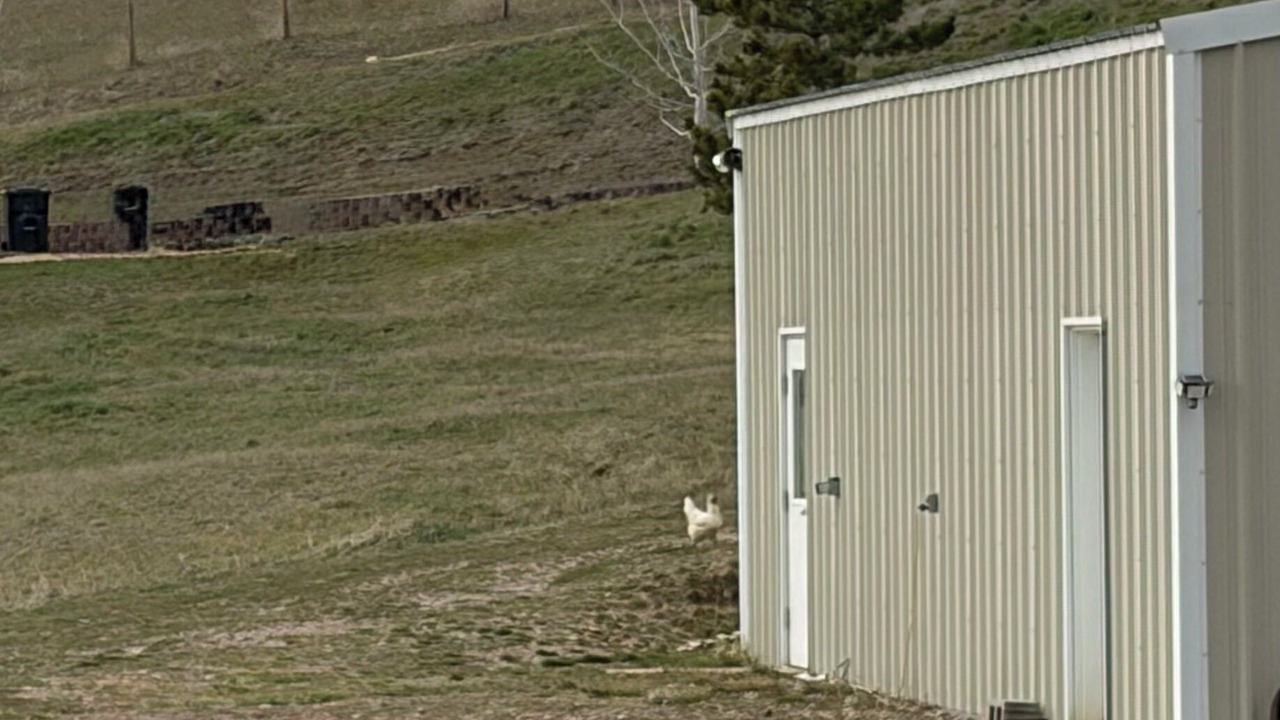 Photo of Outdoor in Missoula