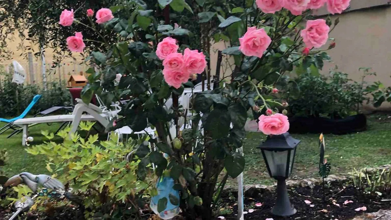 Photo of Outdoor in Chenou