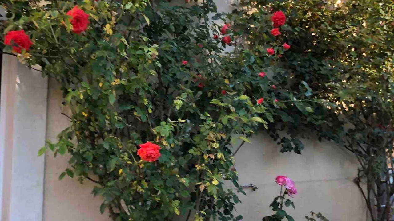 Photo of Outdoor in Chenou