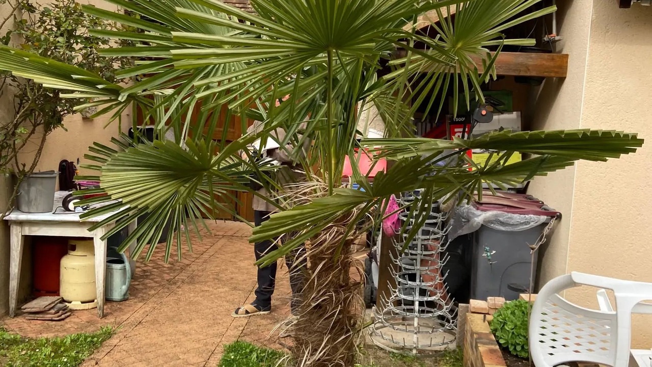 Photo of Outdoor in Chenou