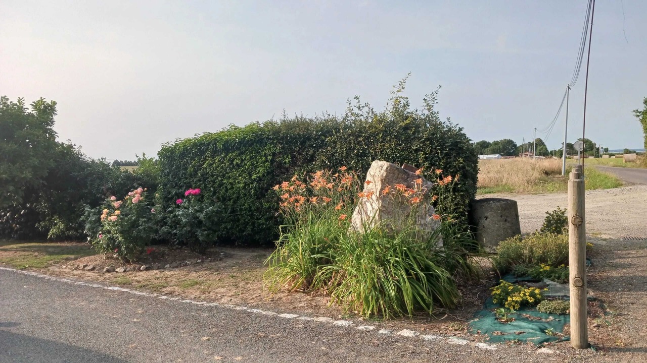 Photo of Outdoor in Saint-Lumine-de-Coutais