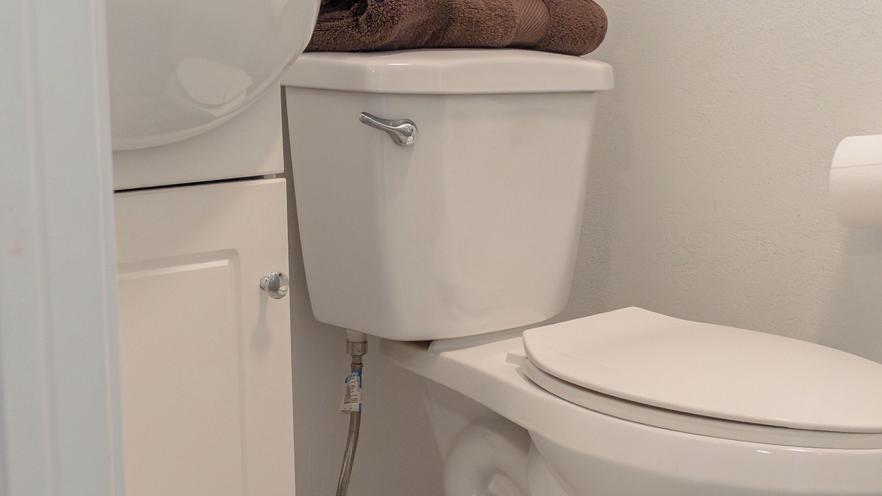 Photo of Bathroom in Cedar Creek Reservoir