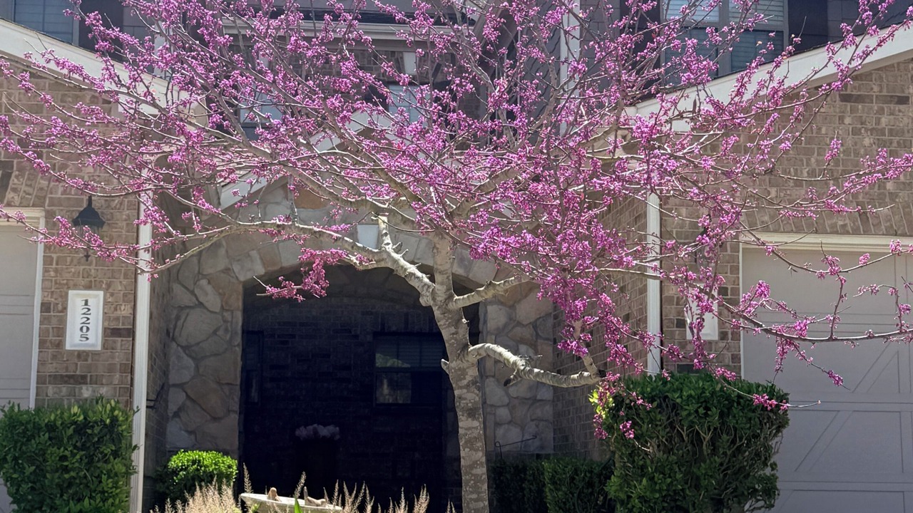 Photo of Outdoor in Tomball