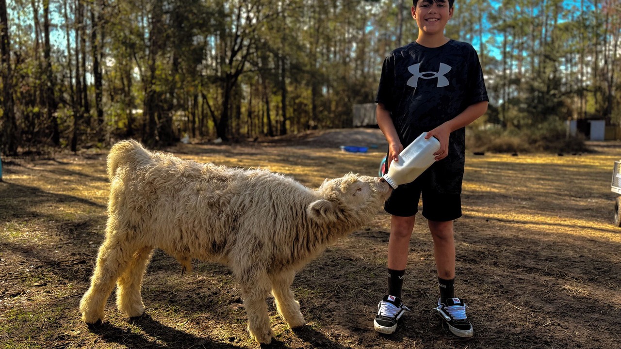 Photo of Others in Middleburg