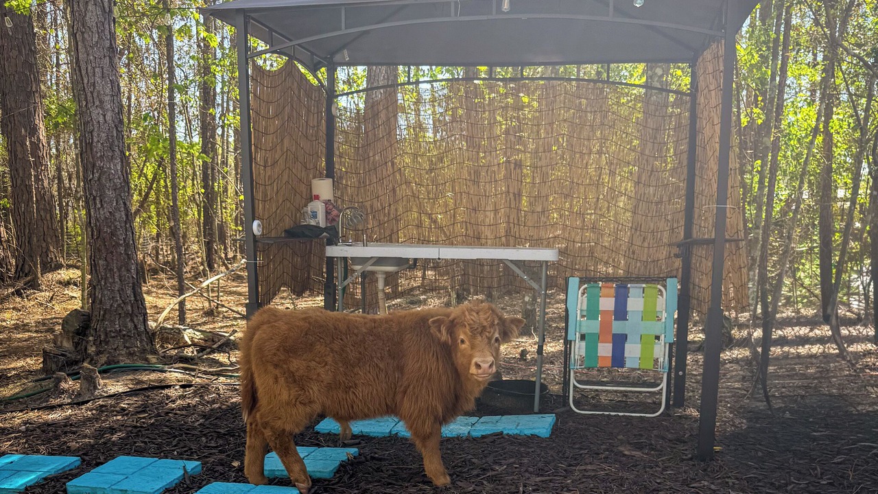 Photo of Outdoor in Middleburg