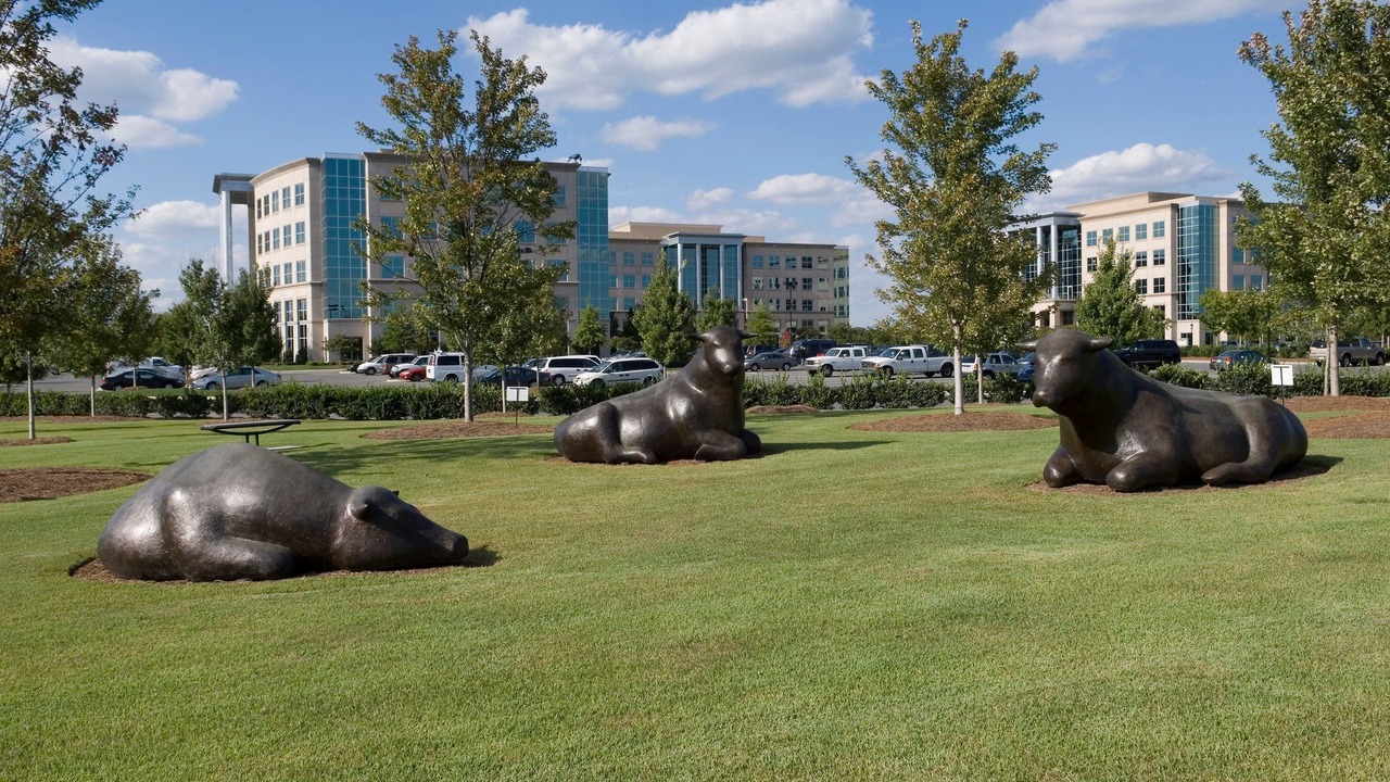 Photo of Others in Ballantyne