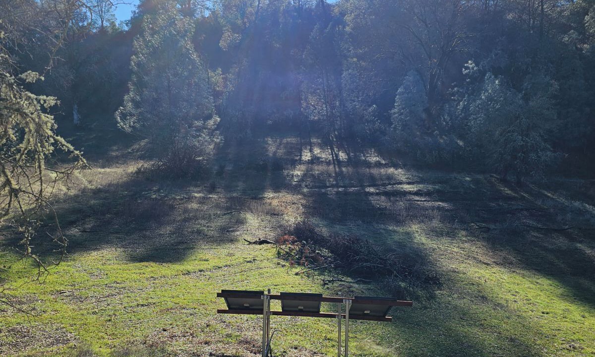 Photo of Others in Mountain Ranch