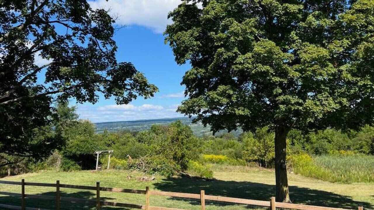 Photo of Outdoor in Rock Stream