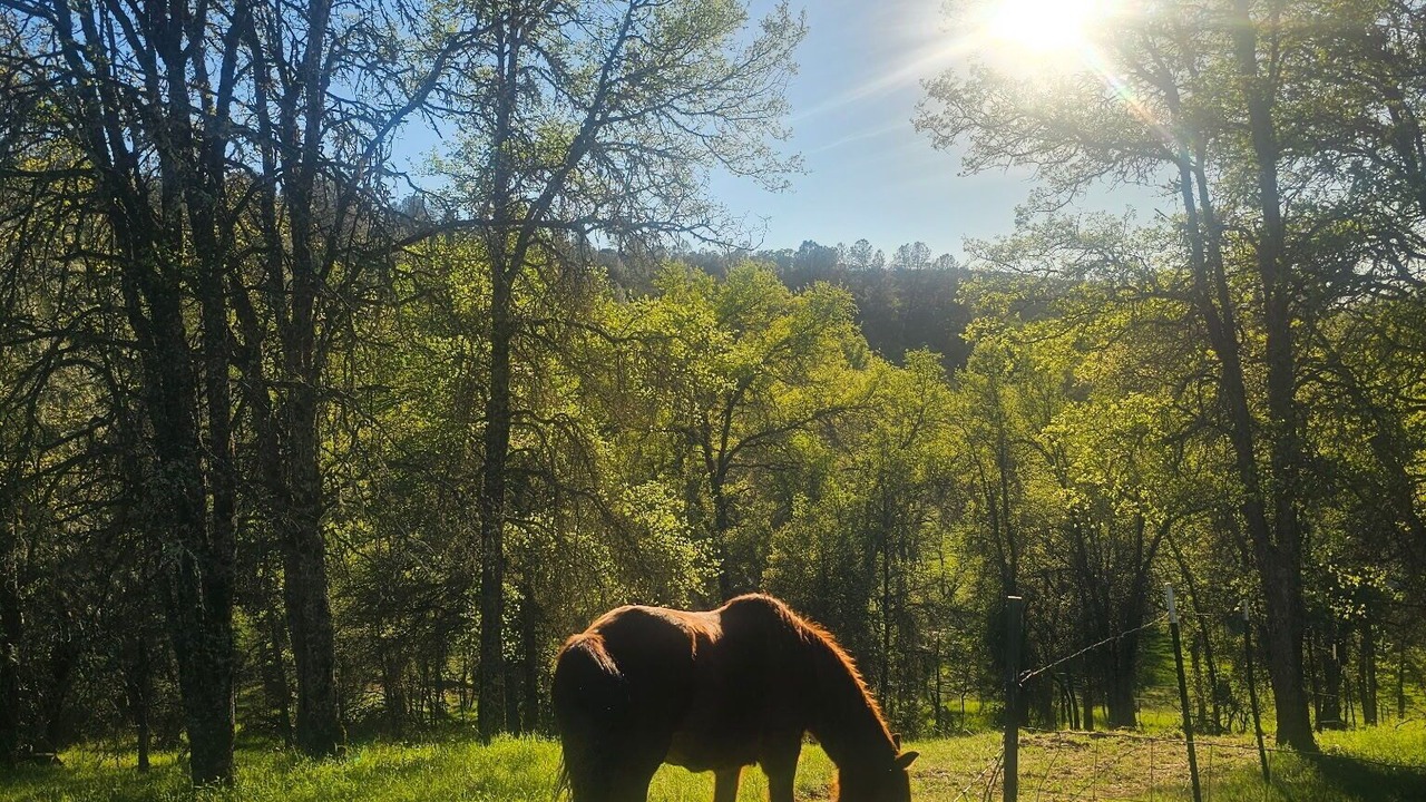Photo of Others in Mountain Ranch