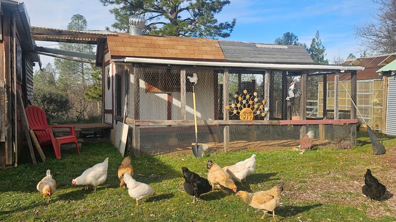 Photo of Outdoor in Mountain Ranch