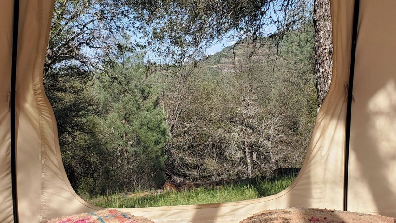 Photo of Others in Mountain Ranch