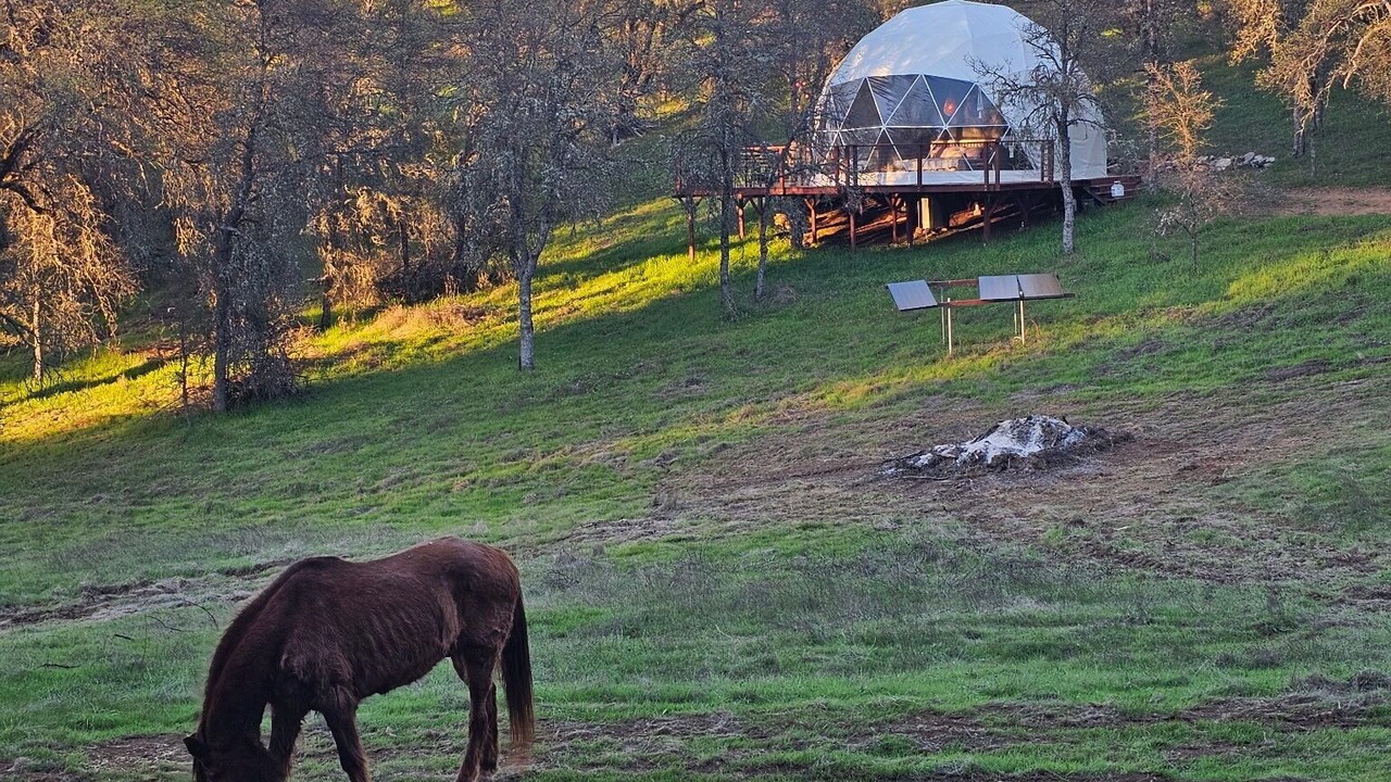 Photo of Others in Mountain Ranch