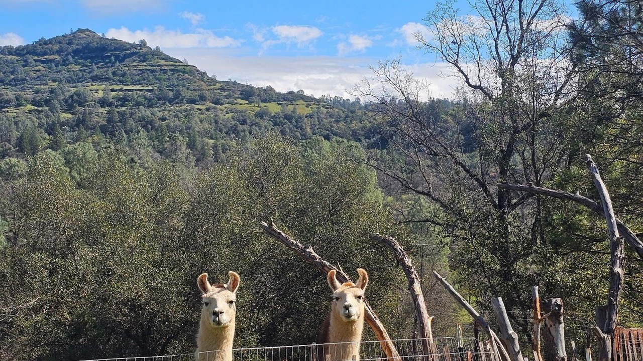 Photo of Others in Mountain Ranch