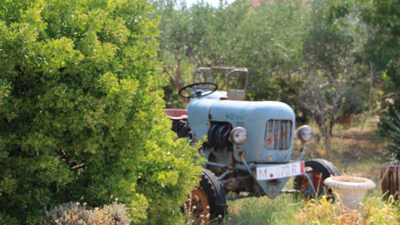 Photo of Outdoor in Cista Velika