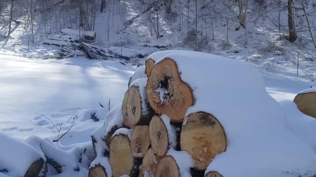 Photo of Outdoor in Sainte-Marie-de-Campan