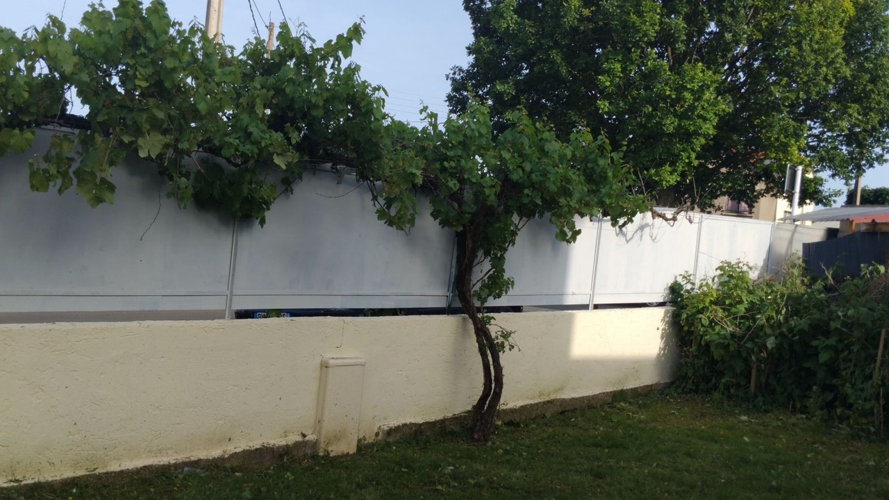 Photo of Outdoor in Villeneuve-le-Roi