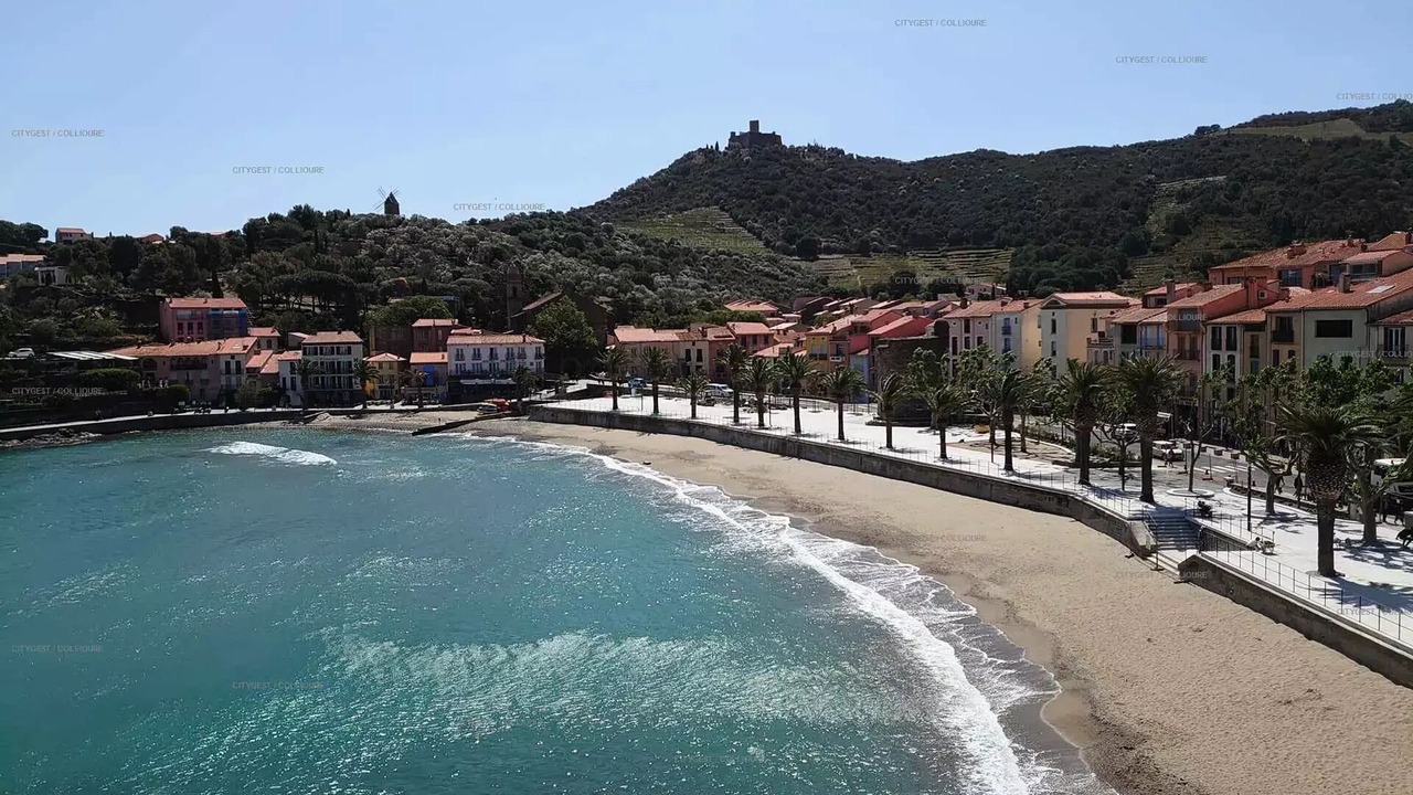Photo of Others in Collioure