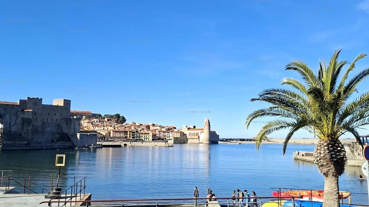 Photo of Others in Collioure