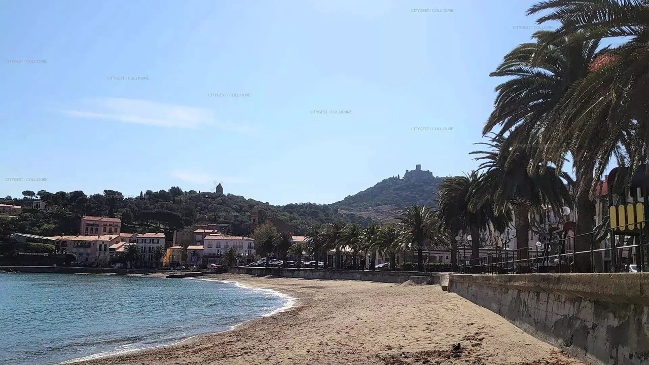 Photo of Others in Collioure