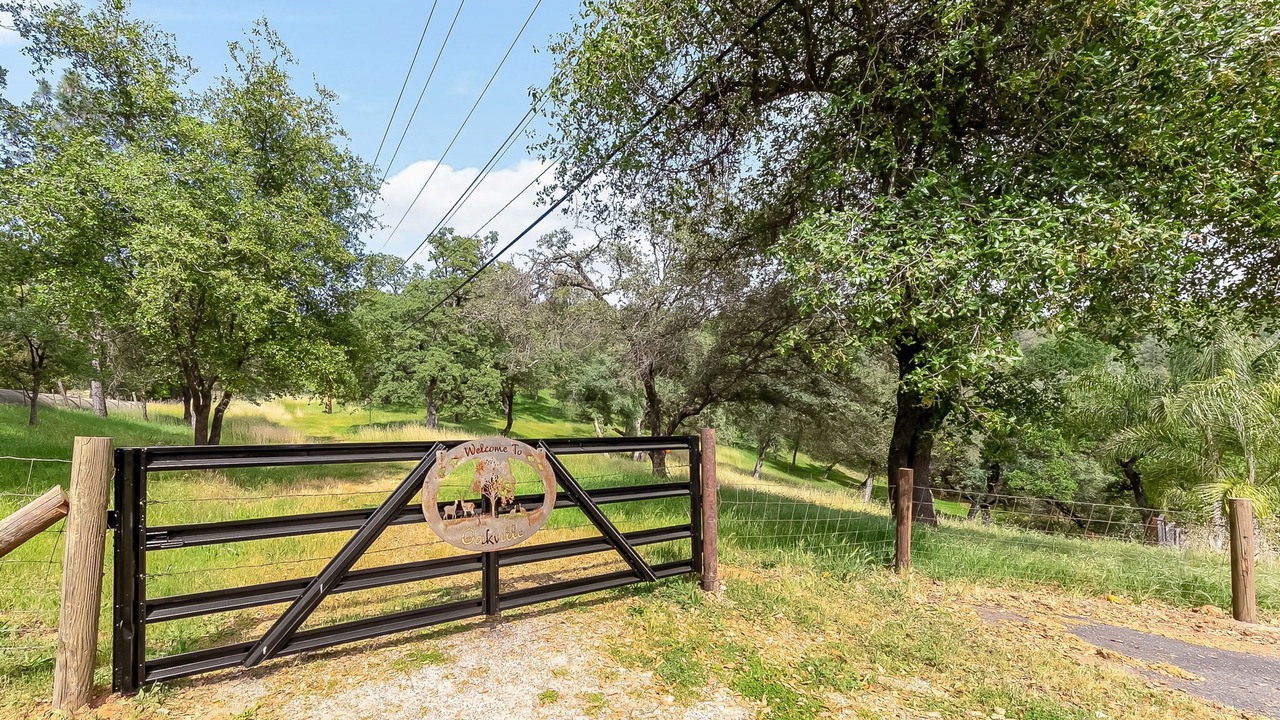 Photo of Outdoor in Auburn