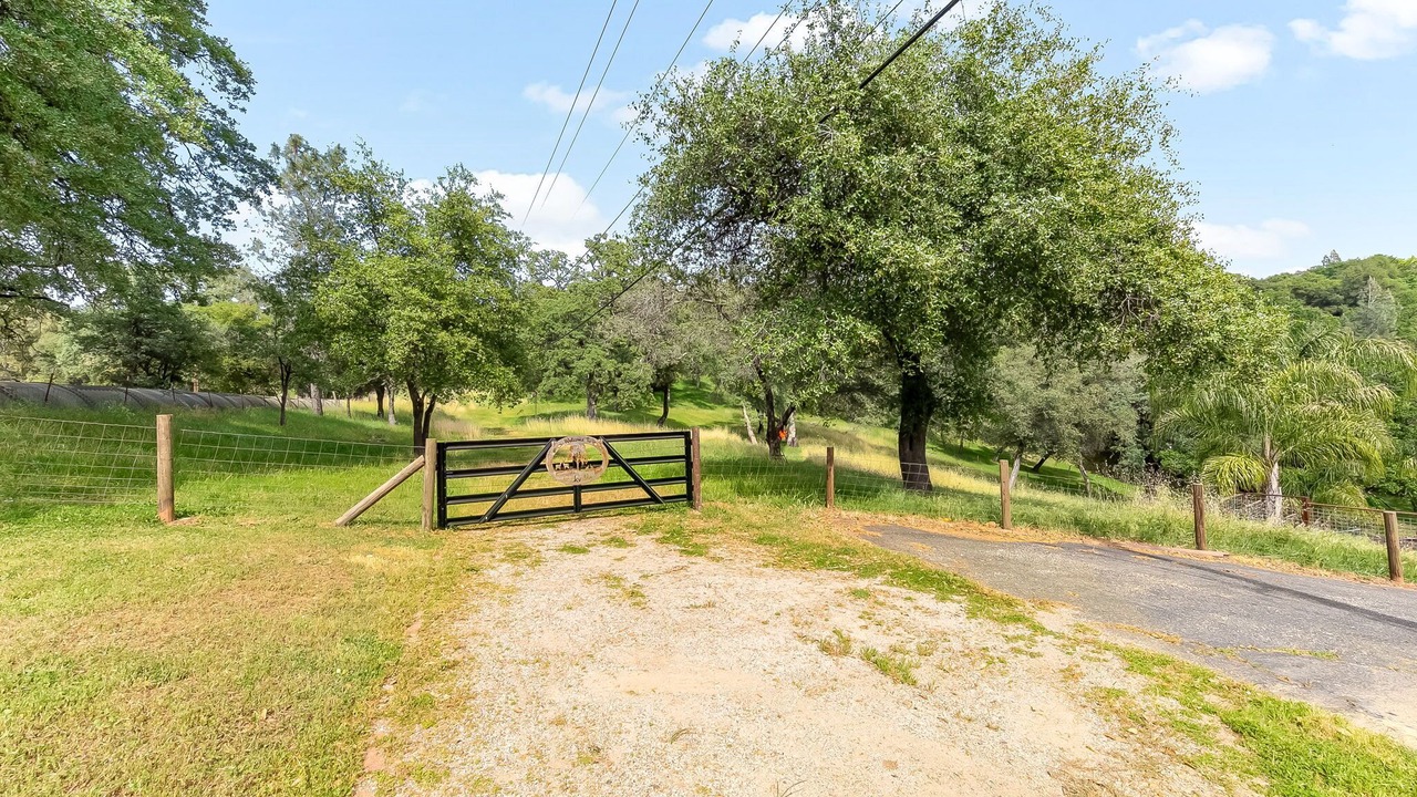 Photo of Outdoor in Auburn