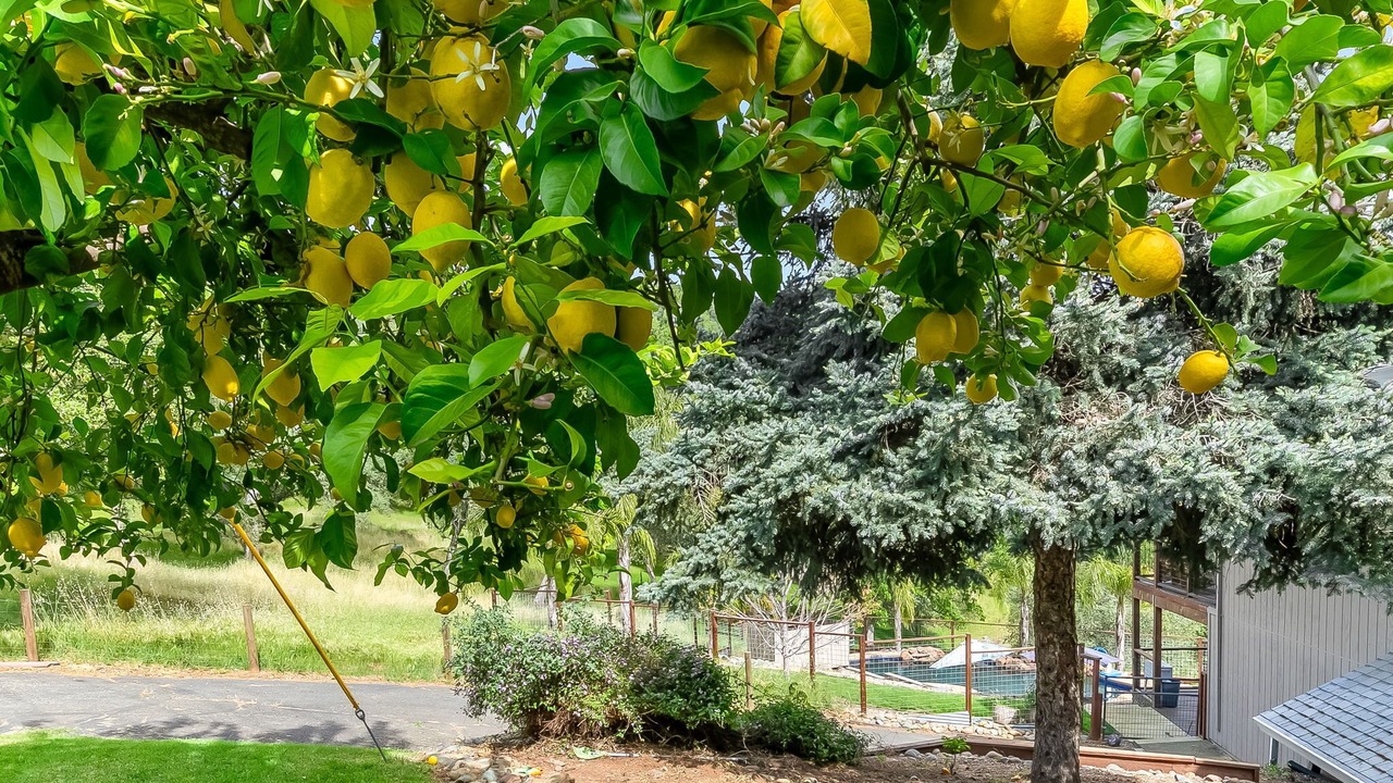 Photo of Outdoor in Auburn