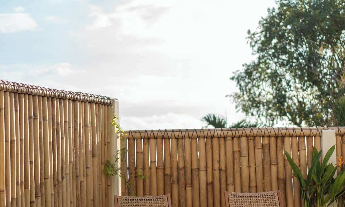 Photo of Outdoor in Mushroom Bay