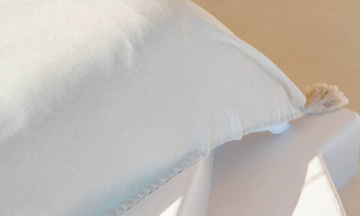 Photo of Others in Mushroom Bay