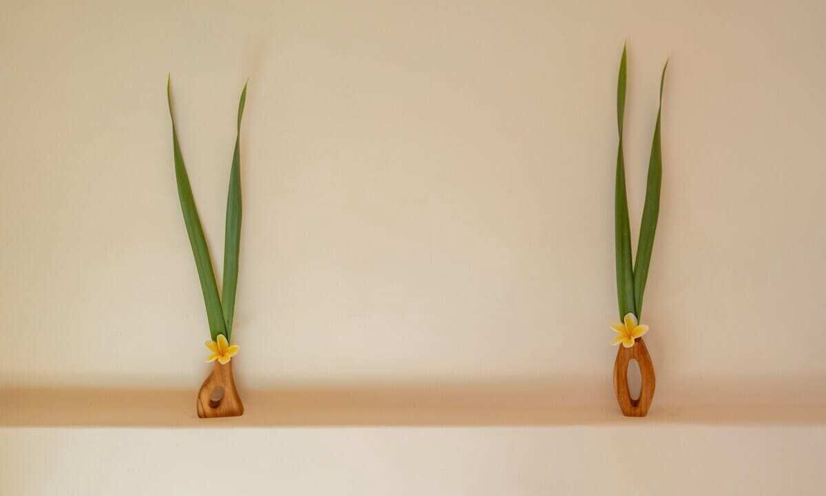 Photo of Others in Mushroom Bay