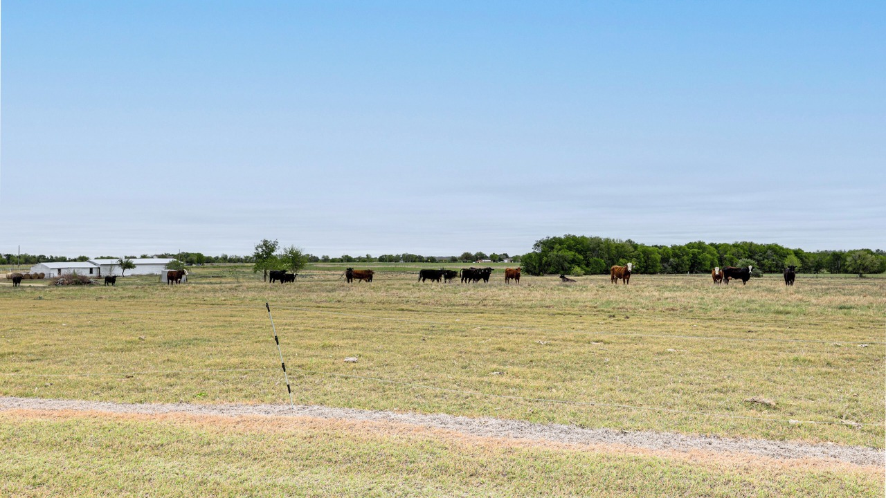 Photo of Others in Milam County