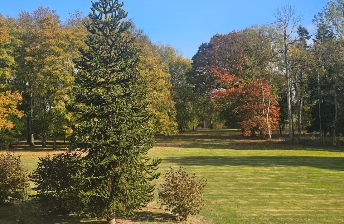 Photo of Outdoor in Saint-Germain-la-Campagne