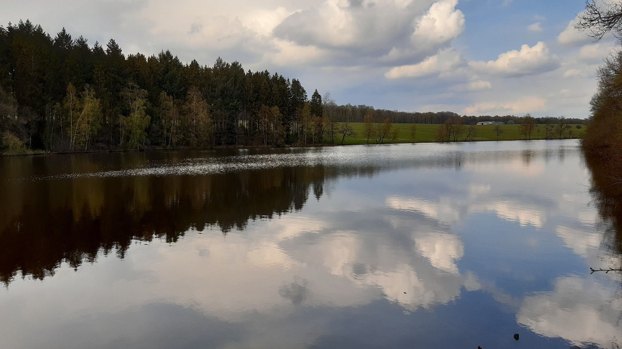 Photo of Others in Neuville-lez-Beaulieu